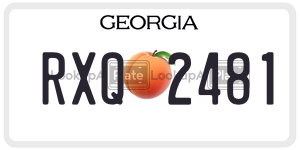RXQ2481  license plate in GA