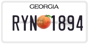 RYN1894 license plate in Georgia