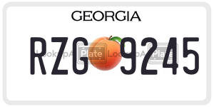 RZG9245  license plate in GA