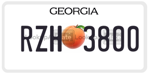 RZH3800  license plate in GA