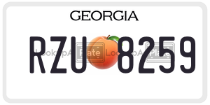 RZU8259  license plate in GA