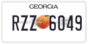 RZZ6049  license plate in GA