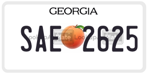 SAE2625 license plate in Georgia