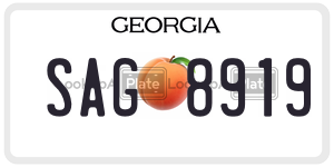 SAG8919  license plate in GA
