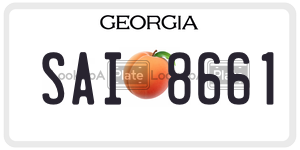 SAI8661 license plate in Georgia