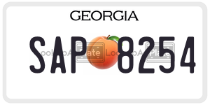 SAP8254  license plate in GA