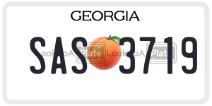 SAS3719  license plate in GA