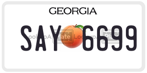 SAY6699  license plate in GA