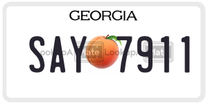 SAY7911 license plate in Georgia