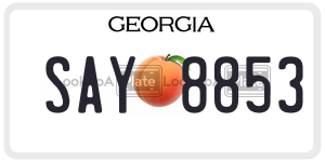SAY8853  license plate in GA