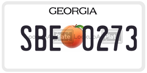 SBE0273 license plate in Georgia