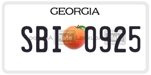 SBI0925  license plate in GA