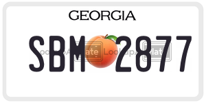 SBM2877 license plate in Georgia