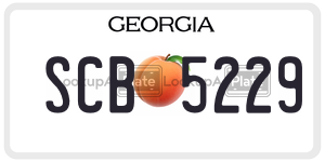 SCB5229 license plate in Georgia