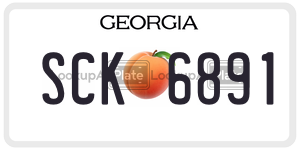 SCK6891 license plate in Georgia