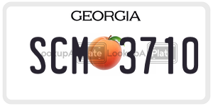 SCM3710  license plate in GA