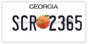 SCR2365  license plate in GA