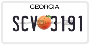 SCV3191 license plate in Georgia
