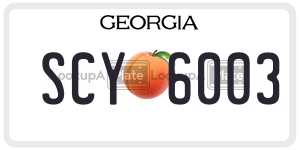 SCY6003  license plate in GA
