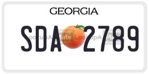 SDA2789 license plate in Georgia