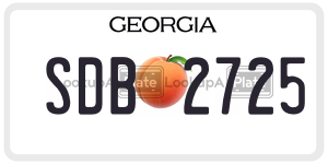 SDB2725  license plate in GA