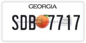 SDB7717  license plate in GA
