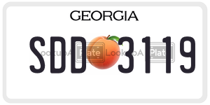 SDD3119 license plate in Georgia