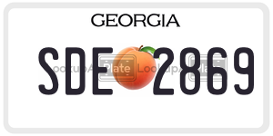 SDE2869 license plate in Georgia