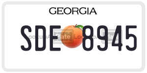 SDE8945 license plate in Georgia