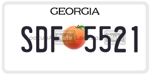 SDF5521  license plate in GA