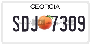 SDJ7309 license plate in Georgia