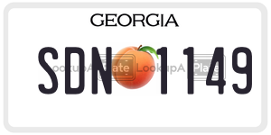 SDN1149  license plate in GA
