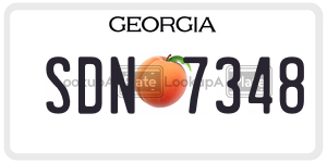 SDN7348  license plate in GA