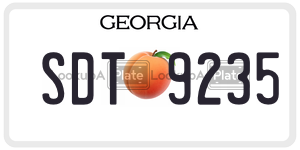 SDT9235  license plate in GA