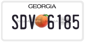 SDV6185  license plate in GA