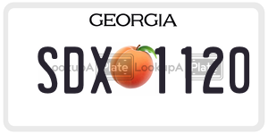 SDX1120  license plate in GA