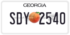 SDY2540  license plate in GA