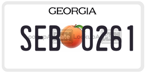 SEB0261  license plate in GA