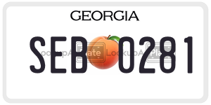 SEB0281  license plate in GA