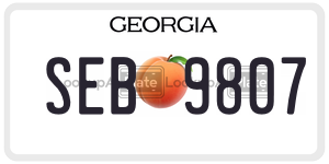 SEB9807  license plate in GA