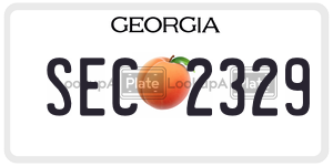 SEC2329  license plate in GA