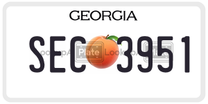 SEC3951 license plate in Georgia