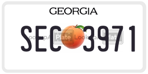 SEC3971 license plate in Georgia