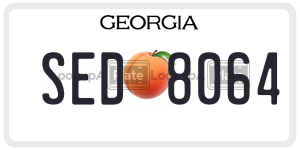 SED8064 license plate in Georgia