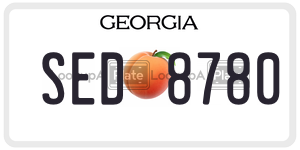 SED8780 license plate in Georgia