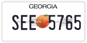SEE5765  license plate in GA