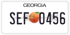 SEF0456  license plate in GA