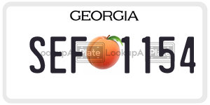 SEF1154 license plate in Georgia