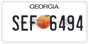 SEF6494  license plate in GA