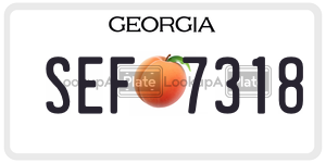 SEF7318  license plate in GA